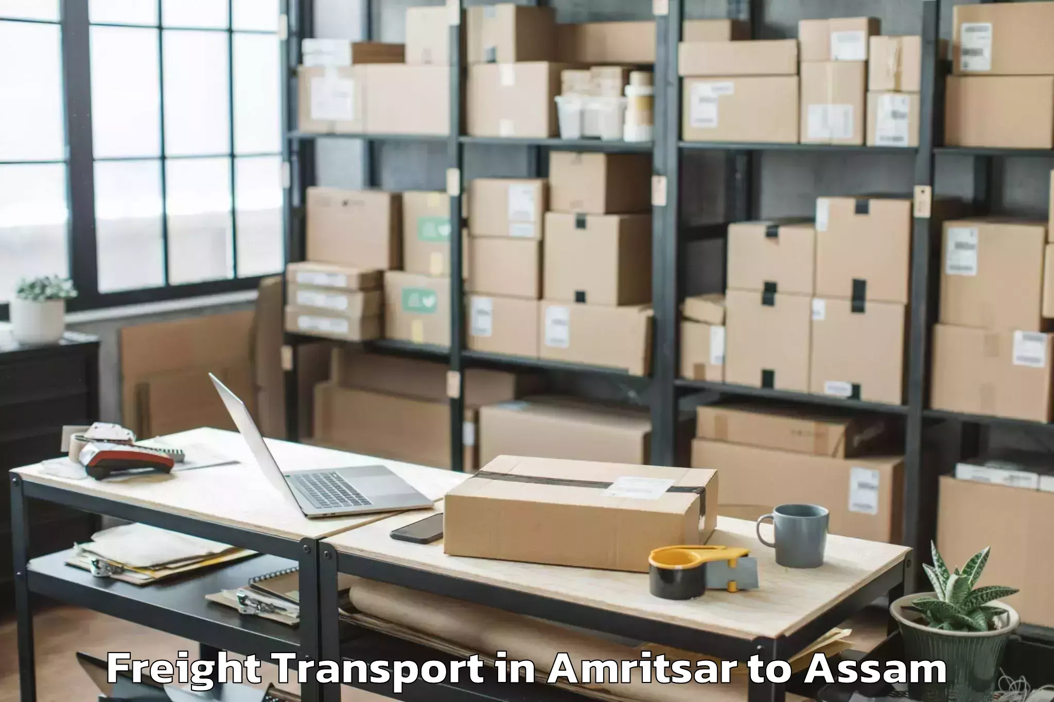 Hassle-Free Amritsar to Biswanath Charali Freight Transport